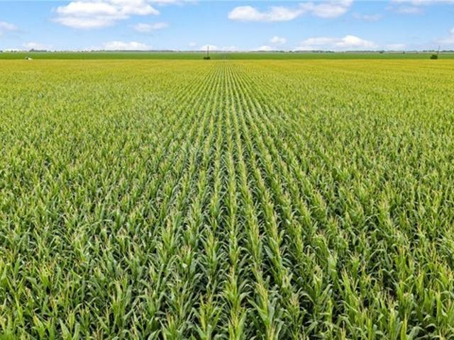Farm for sale in Ganado, Texas