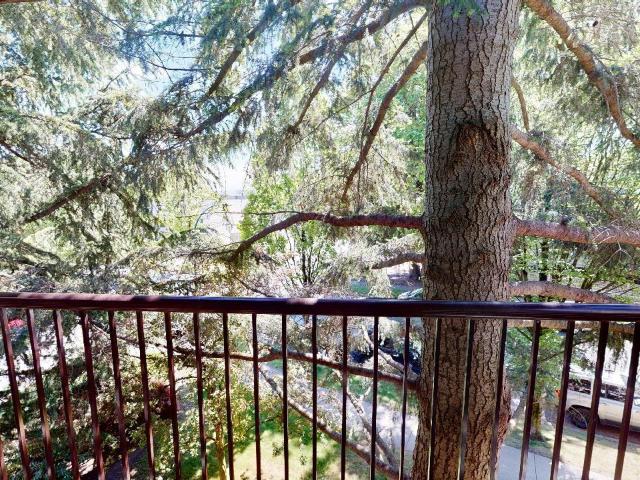 Apartment for rent in Vancouver, British Columbia