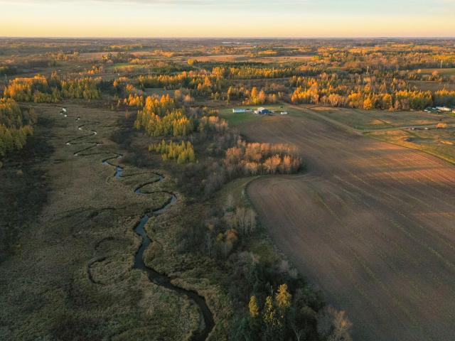 Land for sale in Frazee, Becker County