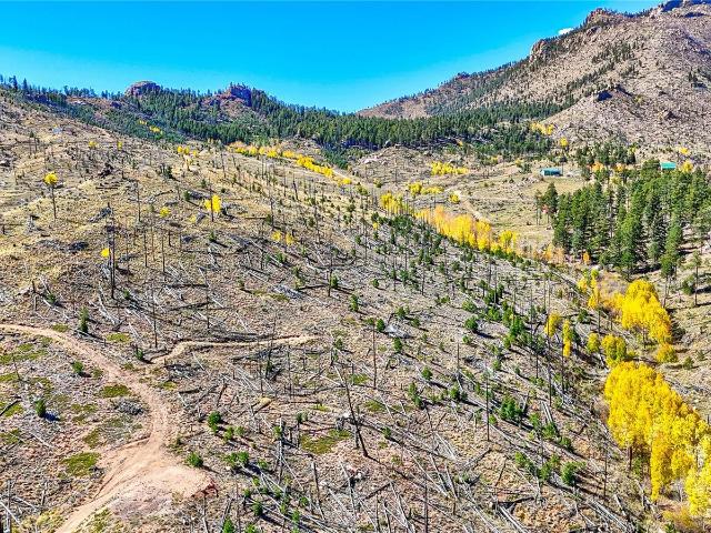 Land for sale in Sedalia, Colorado