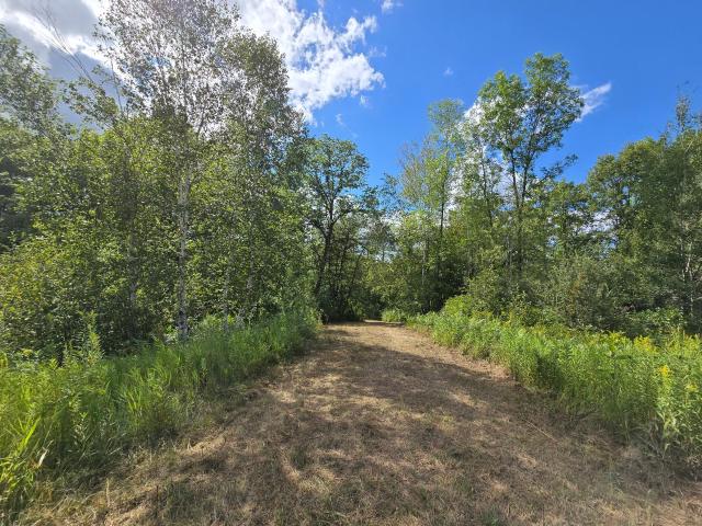 Land for sale in Minnesota