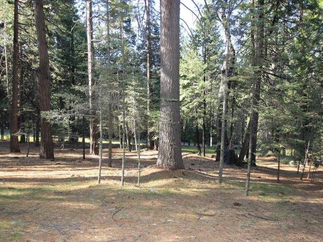 Land for sale in Arnold, California