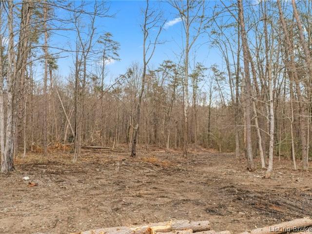 Land for sale in Lexington, Indiana