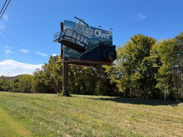 Land for sale in Catlettsburg, Sevierville