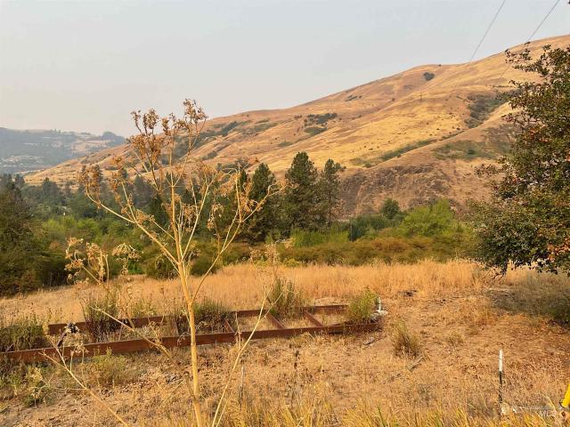 Land for sale in Juliaetta, Idaho