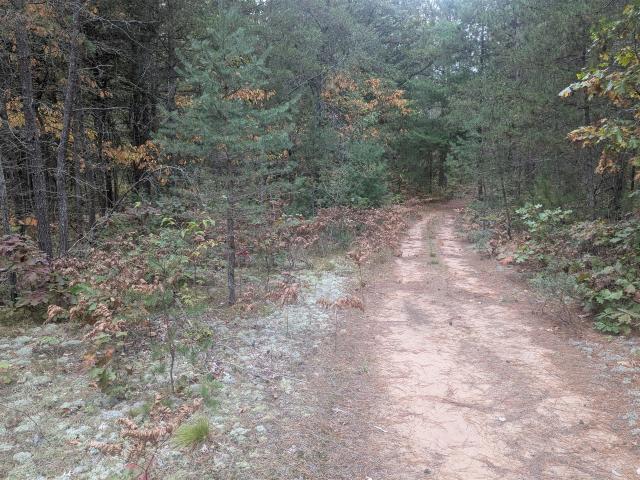 Land for sale in Brethren, Michigan