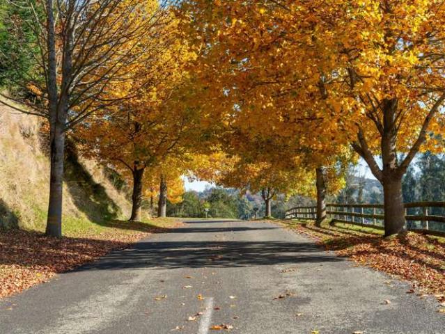 Property for sale in Acacia Bay, Waikato