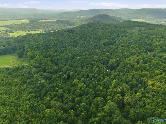 Land for sale in Somerville, Alabama
