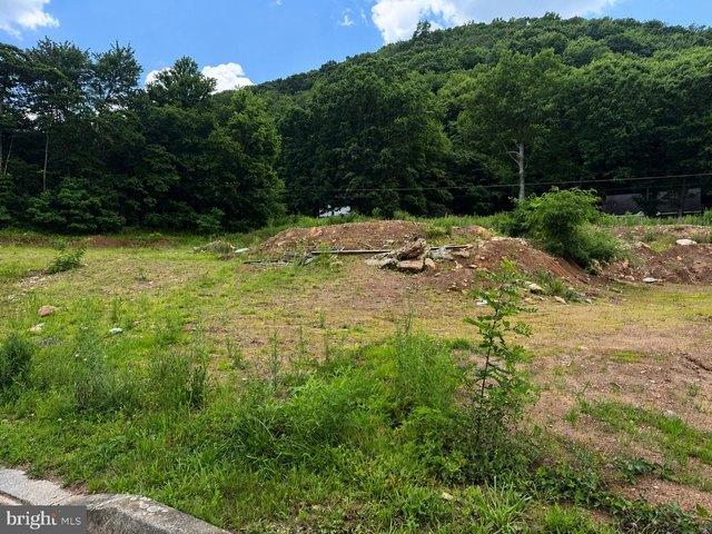 Land for sale in Gordon, Pennsylvania