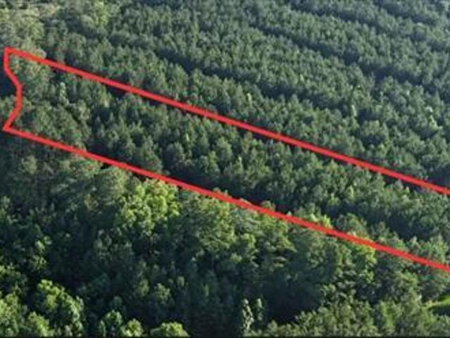 Land for sale in North Carolina
