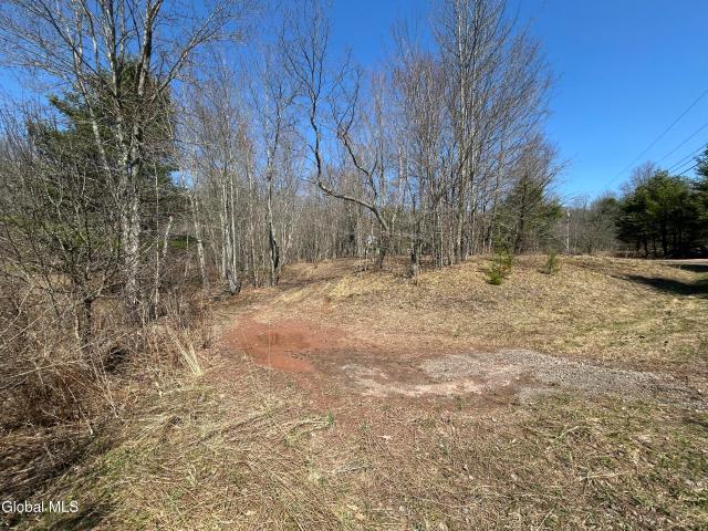 Land for sale in Jefferson, New York