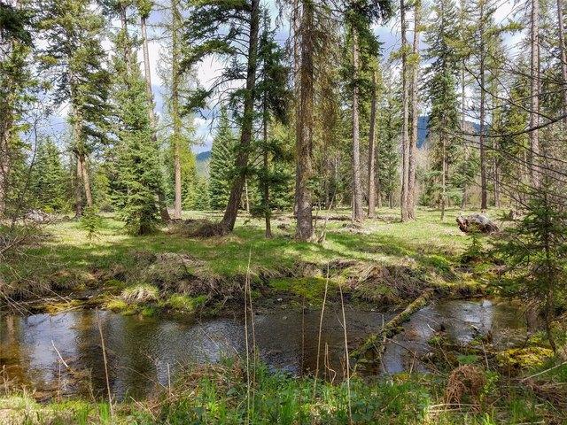 Land for sale in Libby, Lincoln County