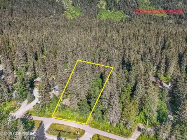 House for rent in Girdwood