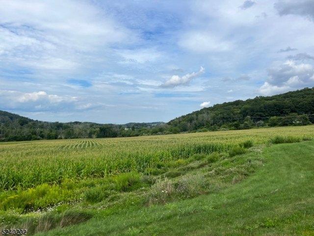 Land for sale in Hampton, New Jersey