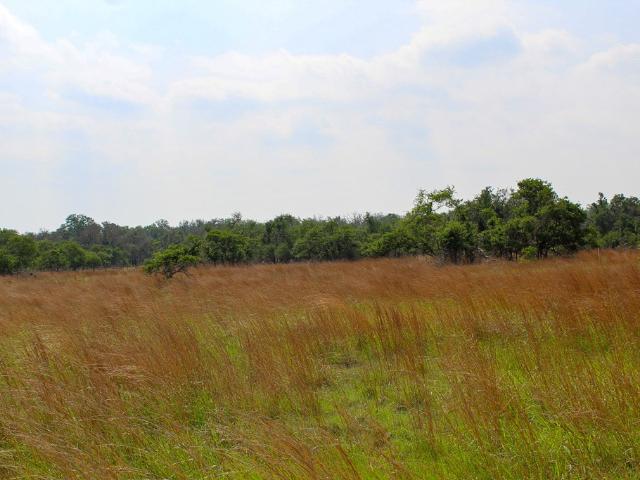 Land for sale in Kerr, Texas