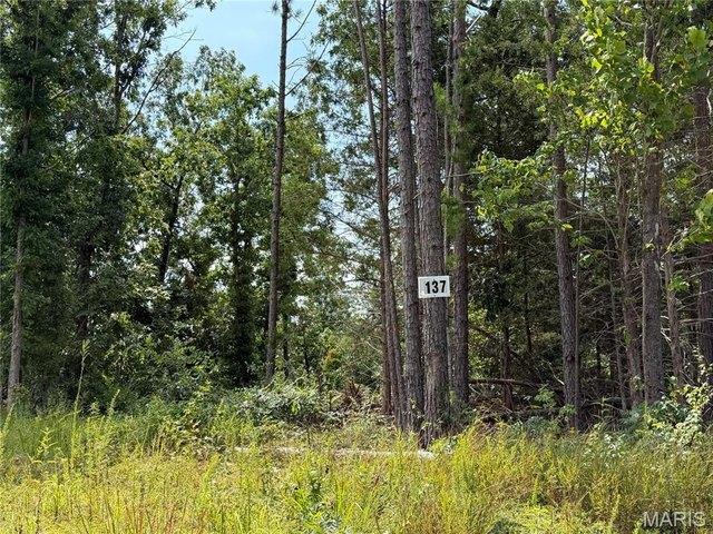 Land for sale in Fredericktown, Missouri