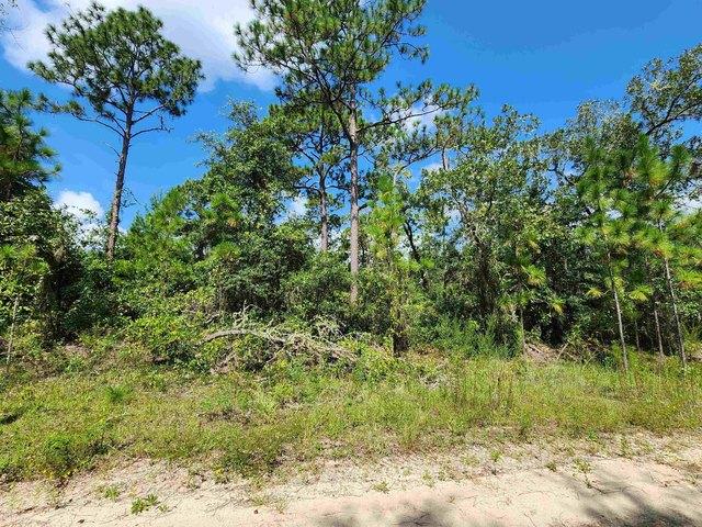 Land for sale in Florahome, Florida