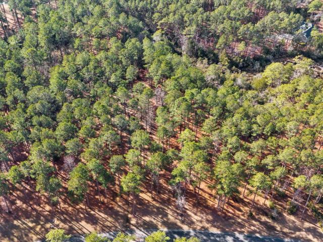 Land for sale in Oriental, North Carolina
