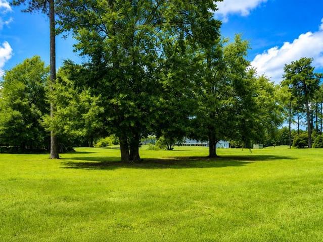 Land for sale in Manning, South Carolina