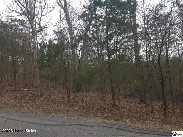 Land for sale in Brandenburg, Kentucky