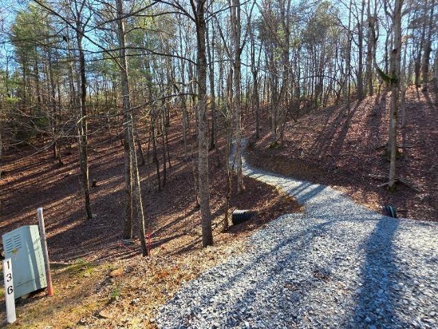 Land for sale in Roosevelt, East Ellijay