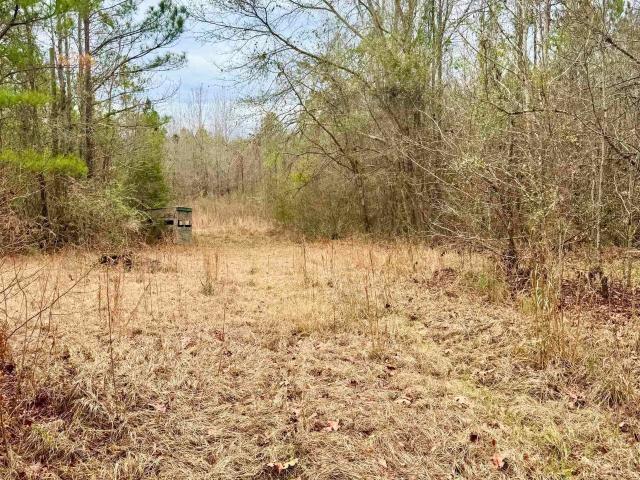 House for sale in Butler, Alabama