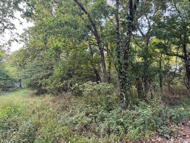 Land for sale in Missouri