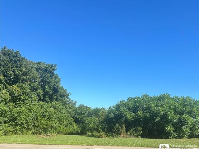 Land for sale in Ripley, New York