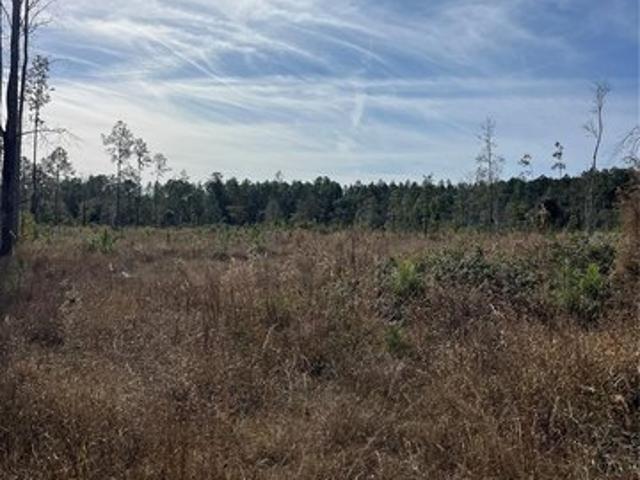 Land for sale in Anthony, Florida