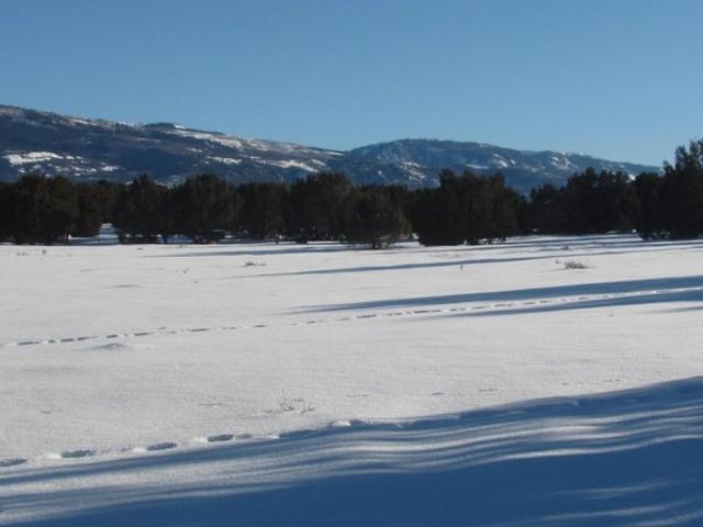 Land for sale in Spring City, Utah
