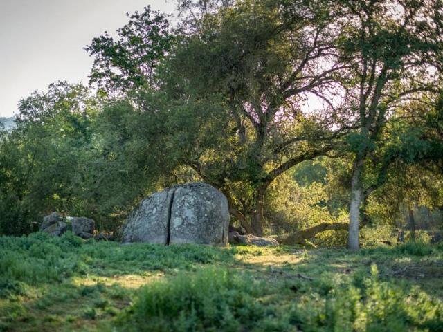 Land for sale in Prather, California