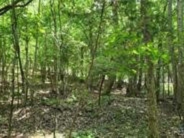 Land for sale in Virginia