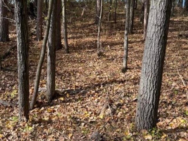 Land for sale in Minnesota