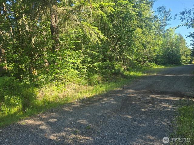 Land for sale in Thurston, Washington