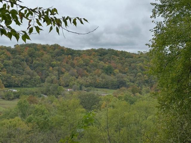 Land for sale in Carrollton, Kentucky