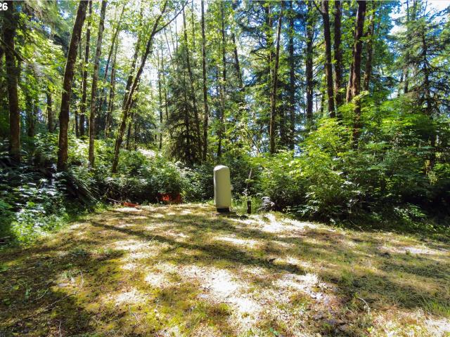 Land for sale in Oregonia