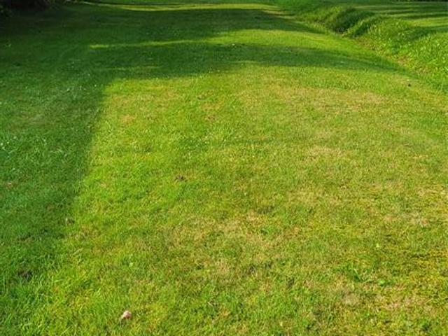 House for sale in Michigan