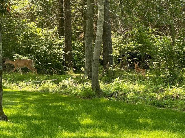 House for sale in Baxter, Minnesota
