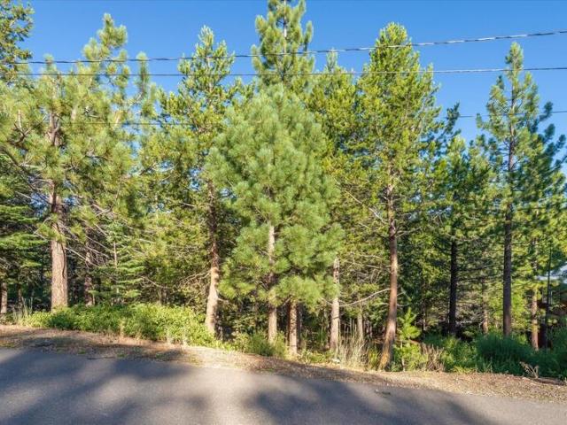 Land for sale in Truckee