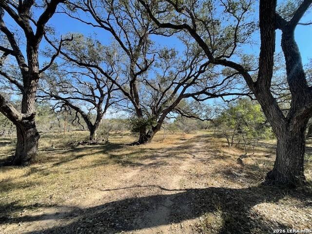 Land for sale in Wilson, Texas