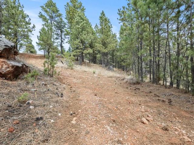 Land for sale in Fairburn, South Dakota