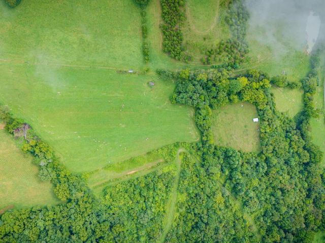 Land for sale in Newmansville, East Tennessee