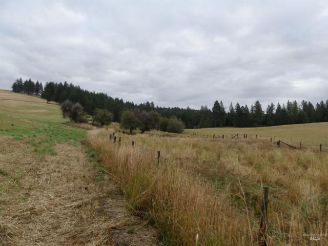 Land for sale in Cottonwood, Idaho County