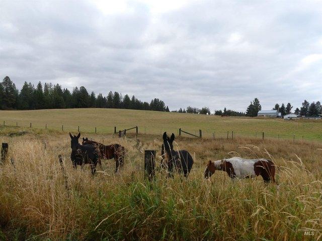 Land for sale in Cottonwood, Idaho County