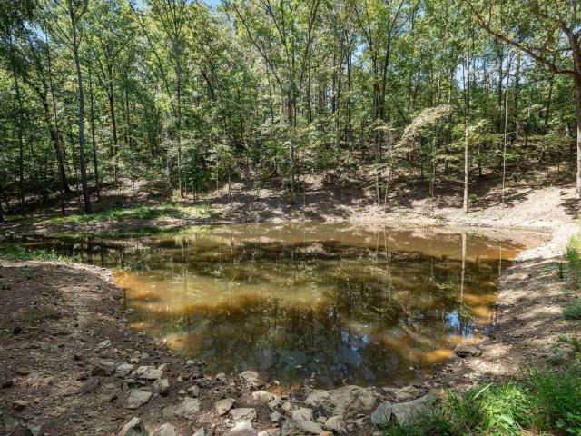 Land for sale in Vincent, Shelby County