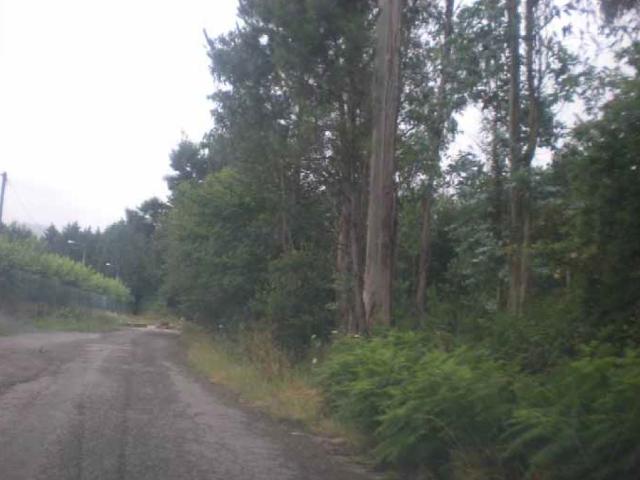 Terreno en venta en Pontevedra, Galicia