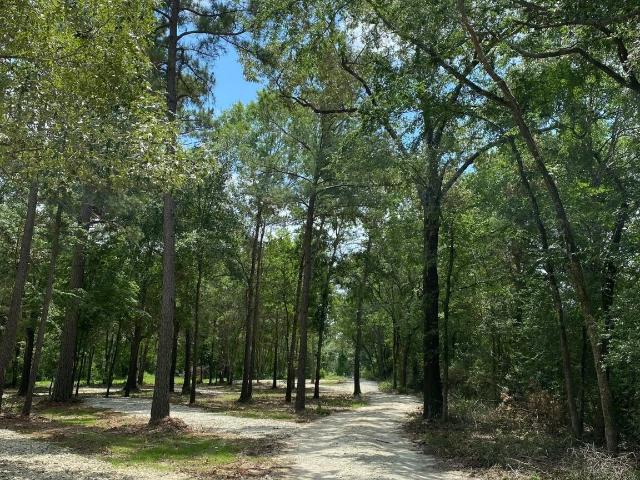 Land for sale in Crockett, Texas
