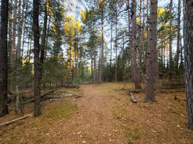 Land for sale in Hubbard, Minnesota