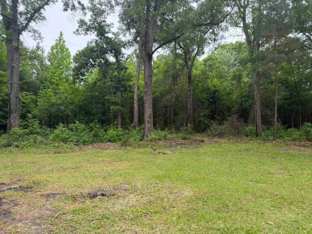 House for sale in Kingstree, South Carolina