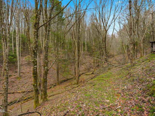 Land for sale in Virginia